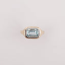 Two Tone Signet
