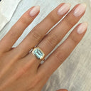 Two Tone Signet